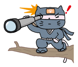 Cat of the ninja(English version) sticker #1566940