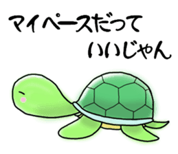 Pleasant Turtles sticker #1568536