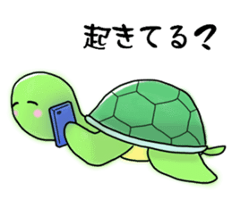 Pleasant Turtles sticker #1568542