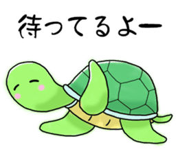 Pleasant Turtles sticker #1568546