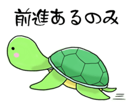 Pleasant Turtles sticker #1568568
