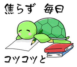 Pleasant Turtles sticker #1568571