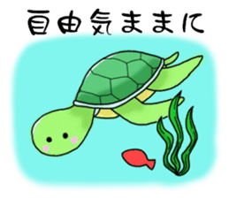 Pleasant Turtles sticker #1568575