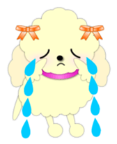 toy poodle "LUNLUN"1 sticker #1569308
