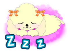 toy poodle "LUNLUN"1 sticker #1569318