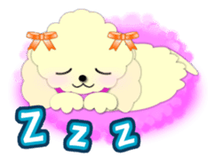 toy poodle "LUNLUN"1 sticker #1569318