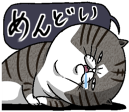 Motchirineko How to Feel "Nora Dorao" sticker #1569502