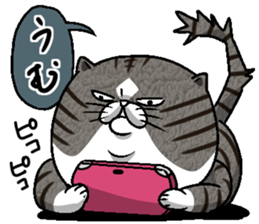 Motchirineko How to Feel "Nora Dorao" sticker #1569508