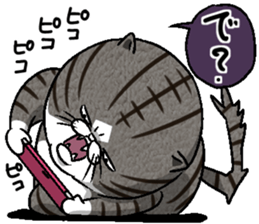 Motchirineko How to Feel "Nora Dorao" sticker #1569509