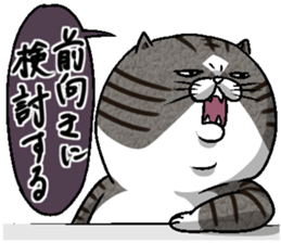 Motchirineko How to Feel "Nora Dorao" sticker #1569521