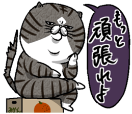 Motchirineko How to Feel "Nora Dorao" sticker #1569528