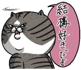 Motchirineko How to Feel "Nora Dorao" sticker #1569535