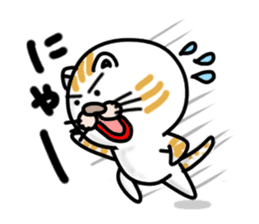 Every day of a Japanese cat sticker #1569563