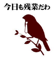 birds of white-coller worker sticker #1573016