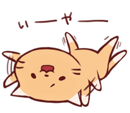 Reaction cat sticker #1575661