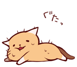 Reaction cat sticker #1575662