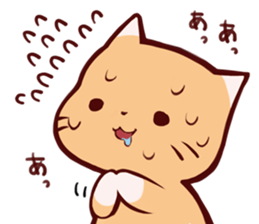 Reaction cat sticker #1575665