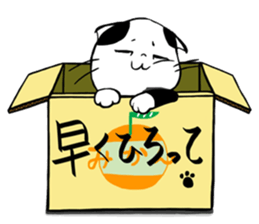 Mr.MaskandCat sticker #1577581