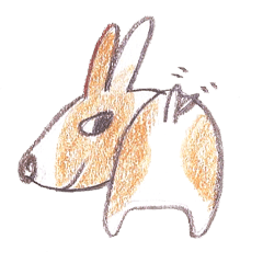 Toast, the lovely Corgi!