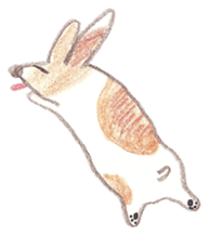 Toast, the lovely Corgi! sticker #1580341
