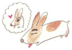 Toast, the lovely Corgi! sticker #1580351