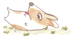 Toast, the lovely Corgi! sticker #1580361