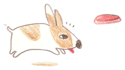 Toast, the lovely Corgi! sticker #1580367