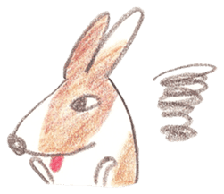 Toast, the lovely Corgi! sticker #1580369