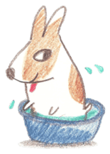 Toast, the lovely Corgi! sticker #1580374