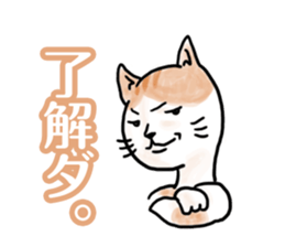 YES CATs sticker #1581241