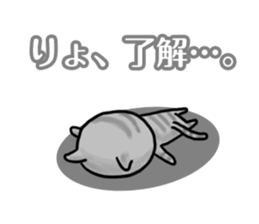 YES CATs sticker #1581247