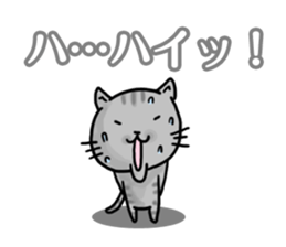 YES CATs sticker #1581255