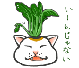 so many lol cats!!!(JP) sticker #1583597