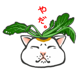 so many lol cats!!!(JP) sticker #1583598