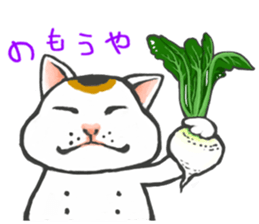 so many lol cats!!!(JP) sticker #1583600