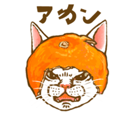 so many lol cats!!!(JP) sticker #1583612