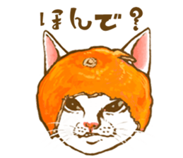 so many lol cats!!!(JP) sticker #1583614