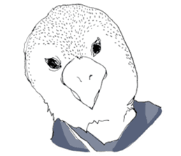 Pure and cute bird girl sticker #1584775