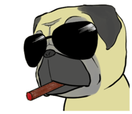 pug tarou sticker #1584978