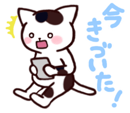 NyankoTime sticker #1585130