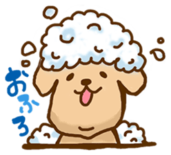 Rakkun2 sticker #1585663