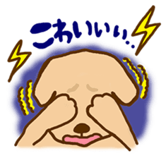 Rakkun2 sticker #1585683