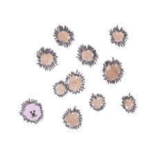 hari hari sticker #1586727