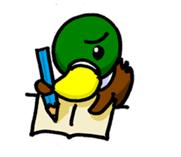 Wild duck sticker #1587308