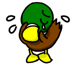 Wild duck sticker #1587318