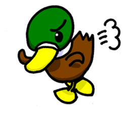 Wild duck sticker #1587320
