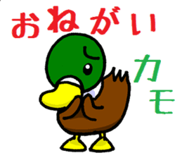 Wild duck sticker #1587326