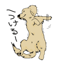 Playful dog's sticker #1589927