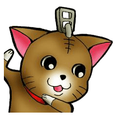 The name of a cat is a tora.