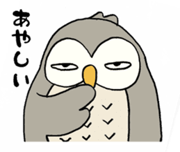 Daily life of owl sticker #1597440